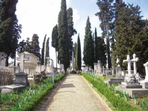 english cemetery florence :. by Joelle Edwards