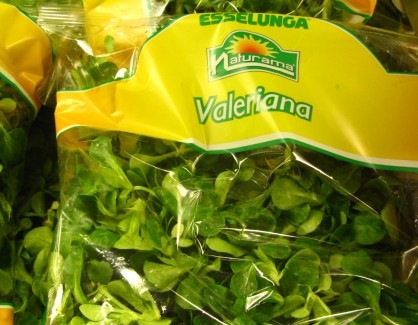 Valeriana Leaf Vegetable 