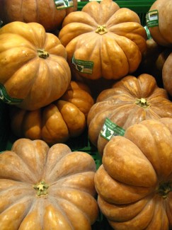 Pumpkins in Florence Italy