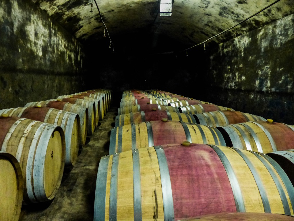 Wine Barrels in Italy