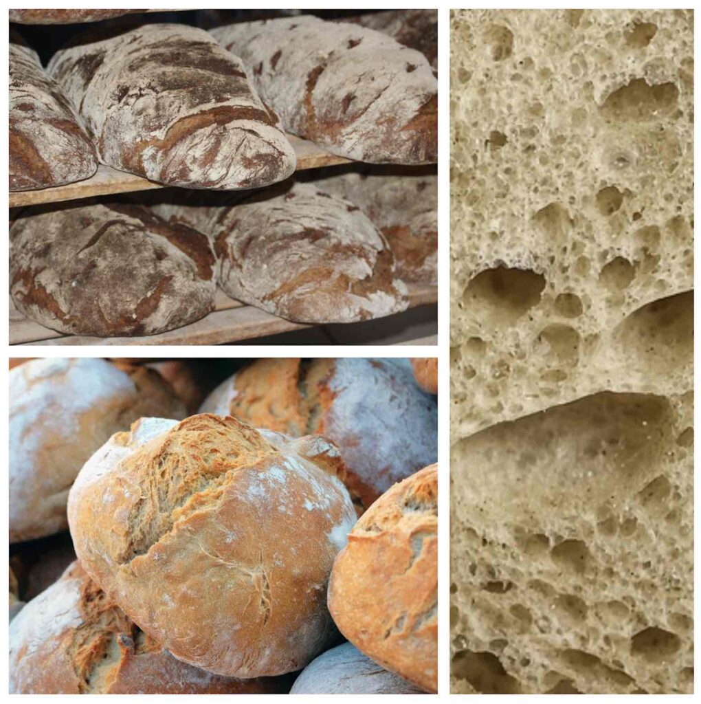 types bread italy