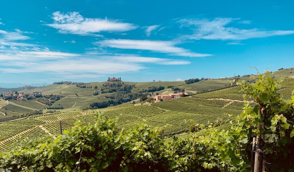 langhe italy wine tour