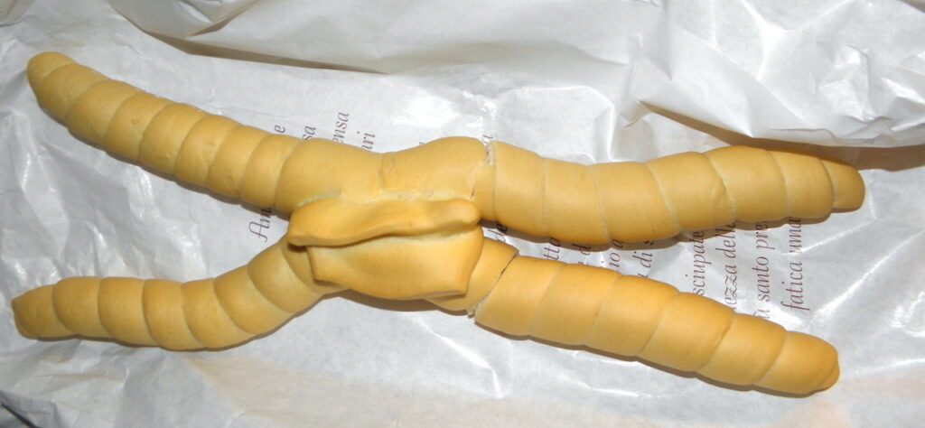Italian types of bread coppia ferarrese